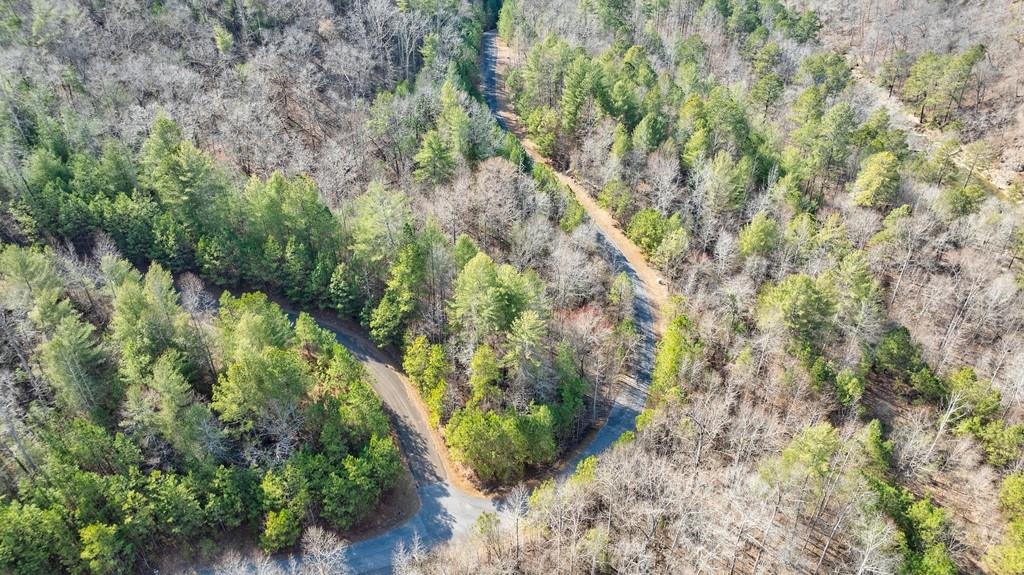 0 Sequoyah Club Ranger, GA 30734 - Photo 44 of 64