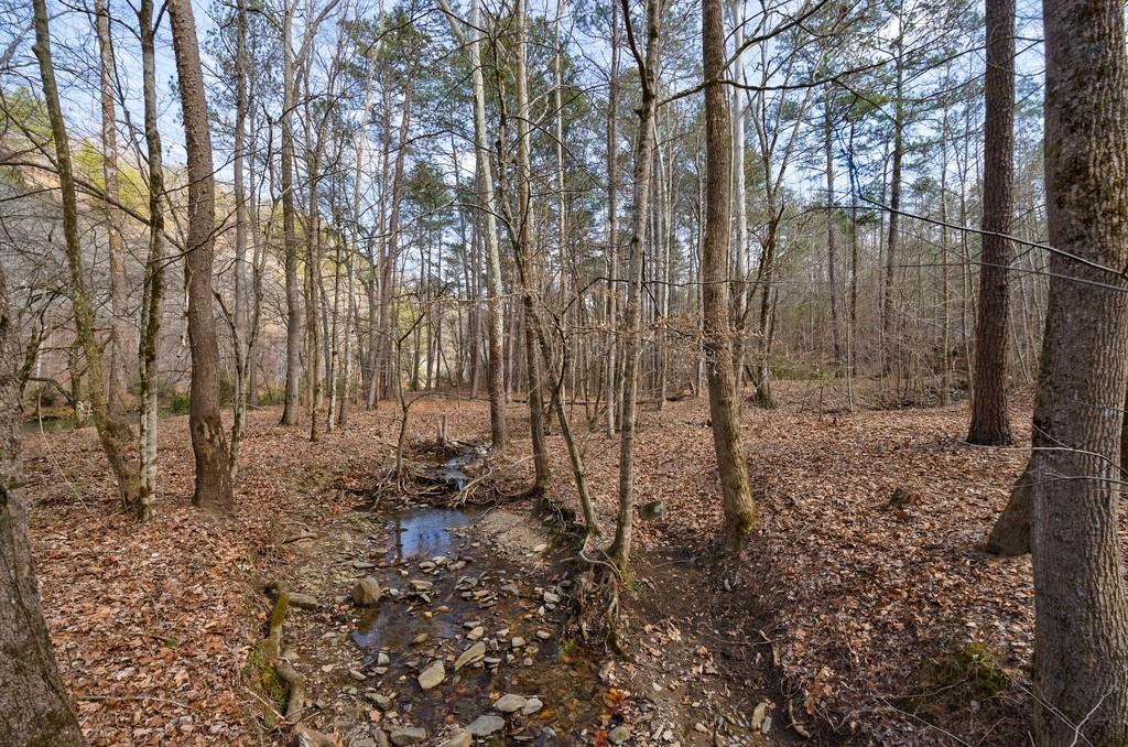 0 Sequoyah Club Ranger, GA 30734 - Photo 5 of 64