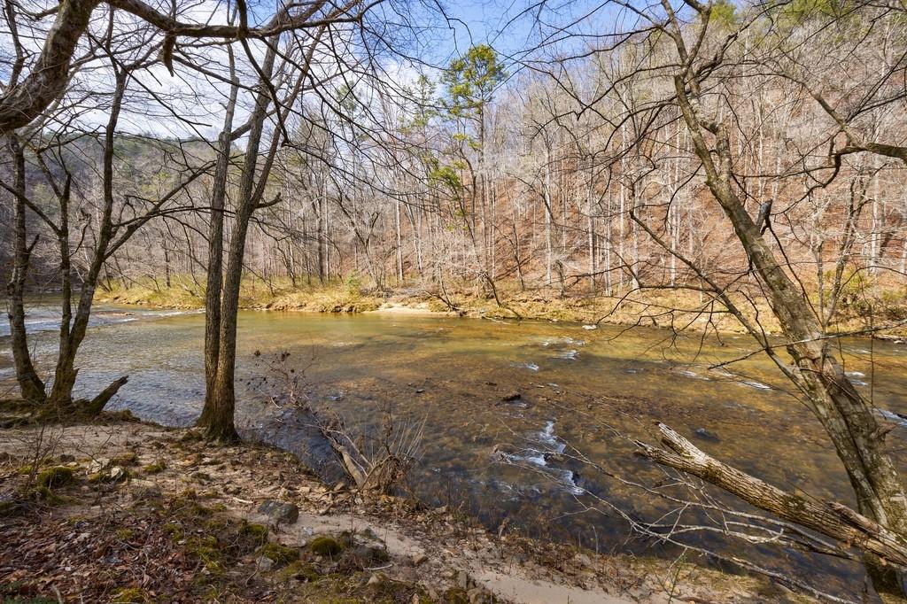 0 Sequoyah Club Ranger, GA 30734 - Photo 8 of 64