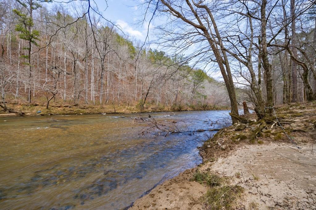 0 Sequoyah Club Ranger, GA 30734 - Photo 10 of 64