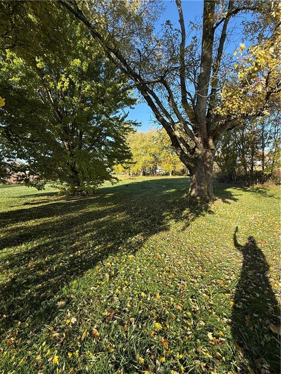 1180 Charles Street Monaca, PA 15061 - Photo 5 of 15 a view of a yard with plants and large trees