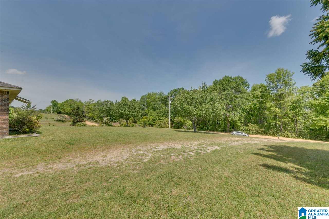756 County Road 372 Clanton, AL 35045 - Photo 41 of 41