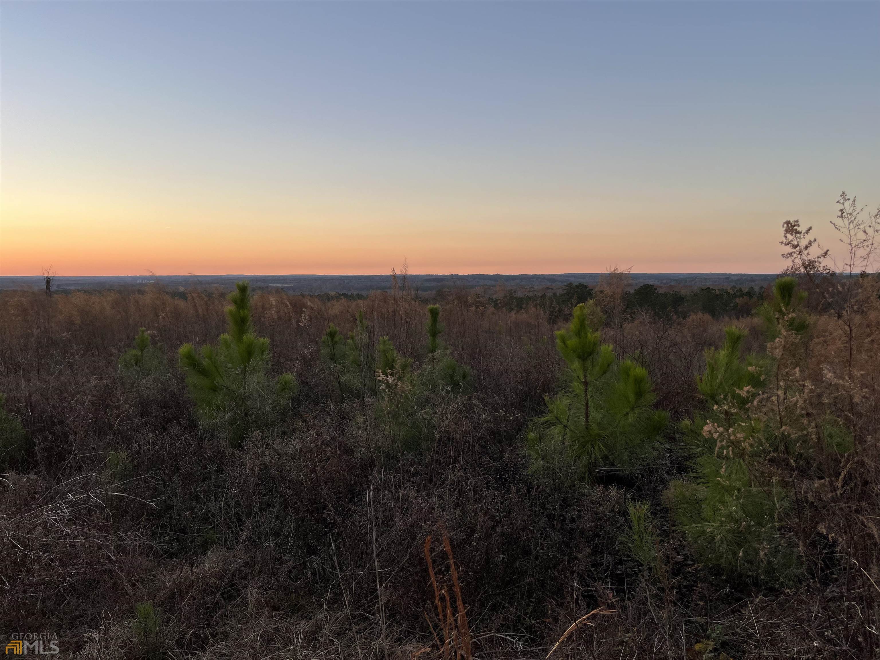 0 Poole Road Sandersville, GA 31082 - Photo 1 of 1 a view of a city and mountains in the background