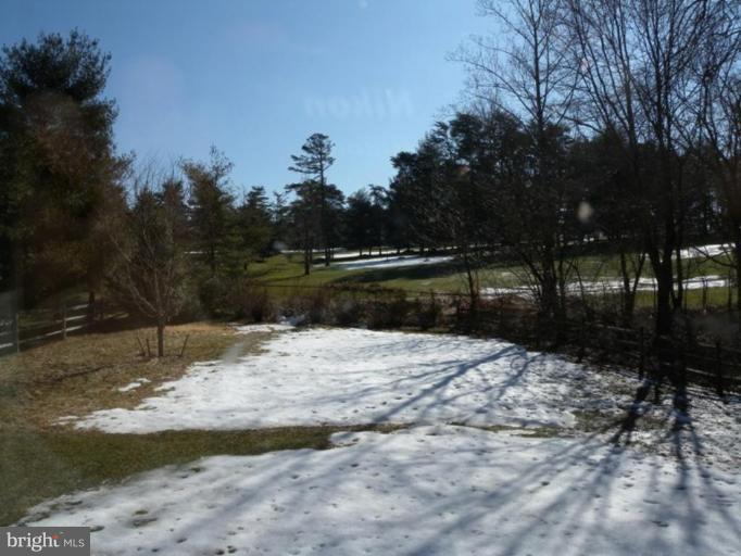 9907 Carter Road Bethesda, MD 20817 - Photo 16 of 30 what a view!