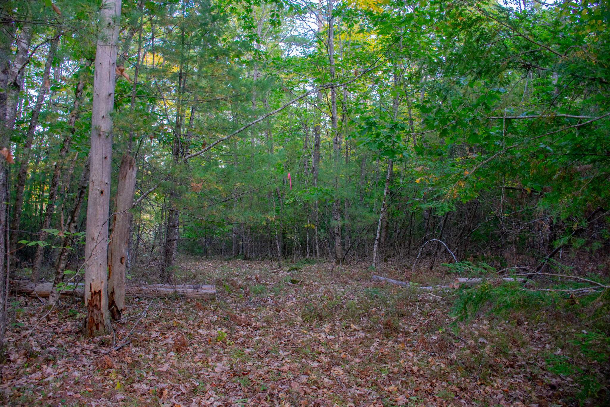 Tbd New Dam Road North Waterboro, ME 04061 - Photo 12 of 24