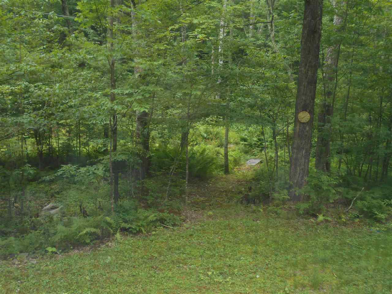1917 West Sandgate Road Sandgate, VT 05250 - Photo 3 of 10 Gallery Image 3