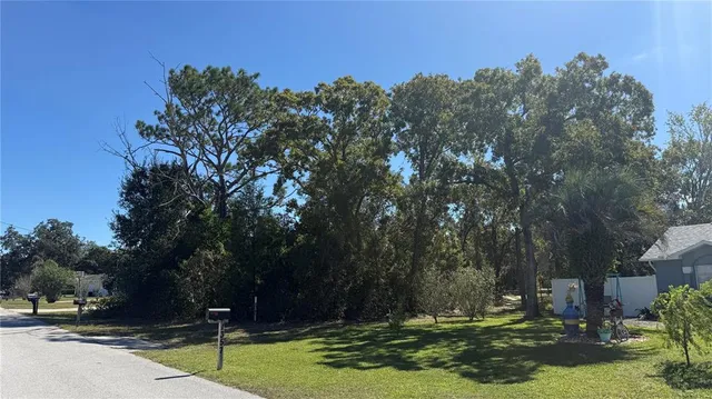 a backyard of a house with lots of trees