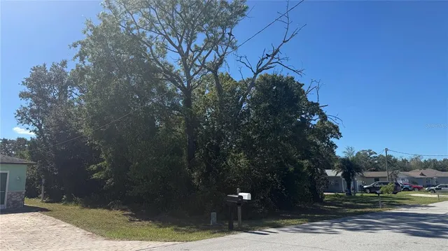 a backyard of a house with plants and trees