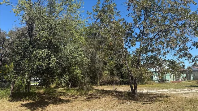 a view of outdoor space with trees