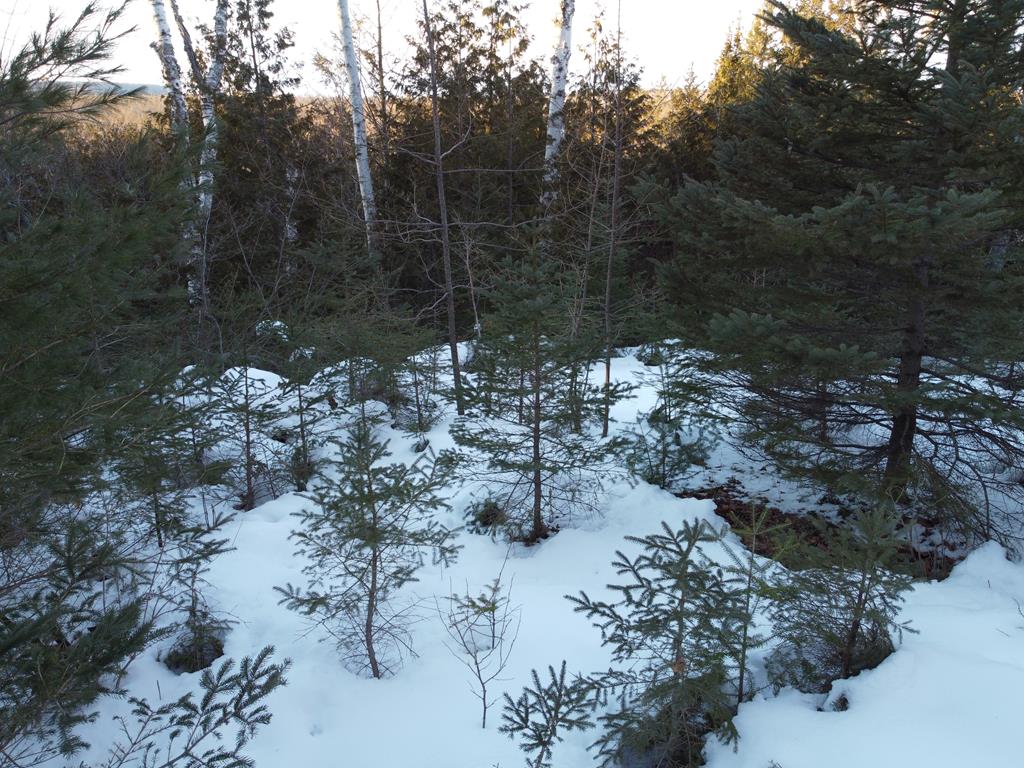 Lot 43 Gibraltar Road Fish Creek, WI 54212 - Photo 12 of 18