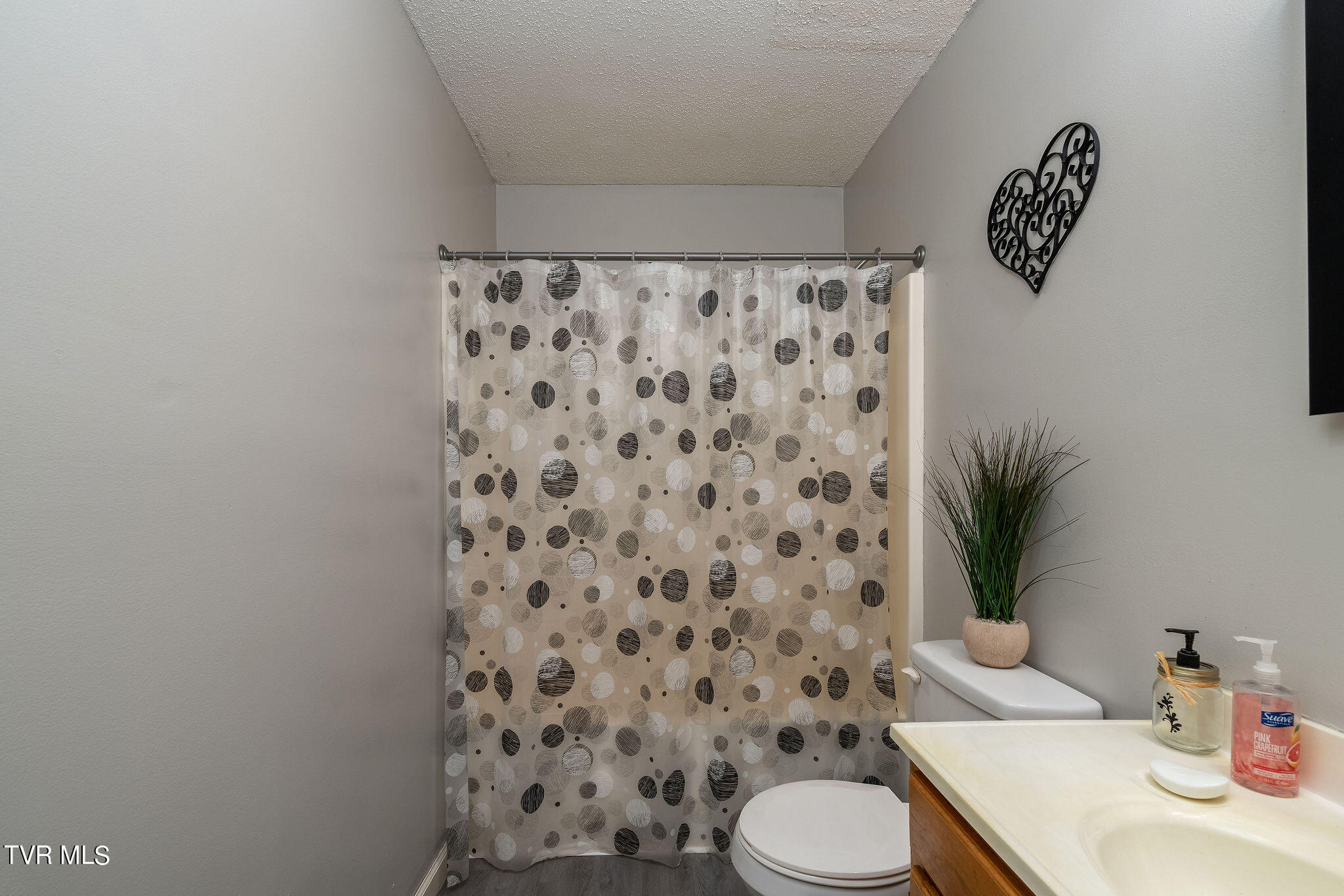 176 Pinecone Street Dryden, VA 24243 - Photo 51 of 57 DSC07964-Edit