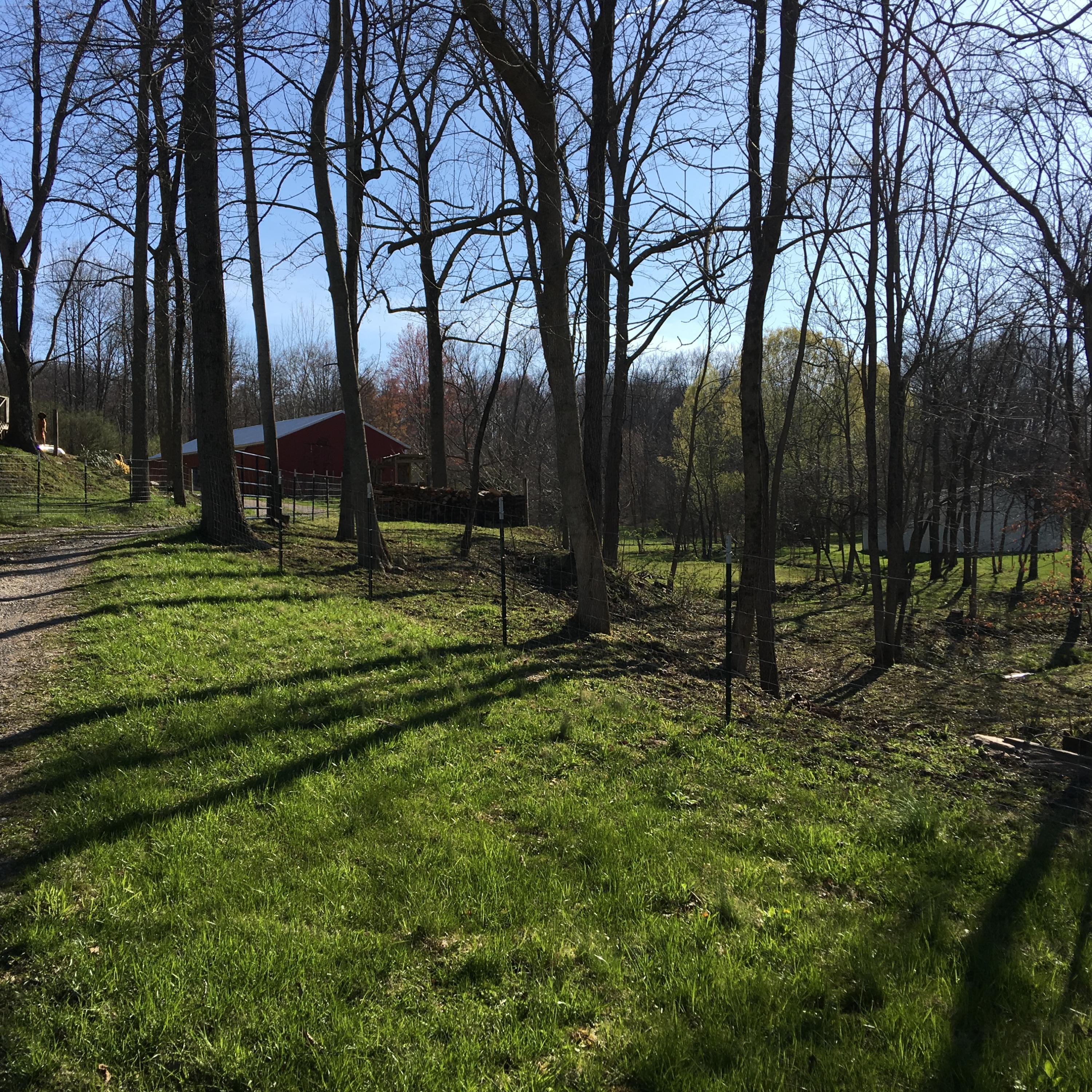 10601 Clearport Road Southwest Amanda, OH 43102 - Photo 3 of 26