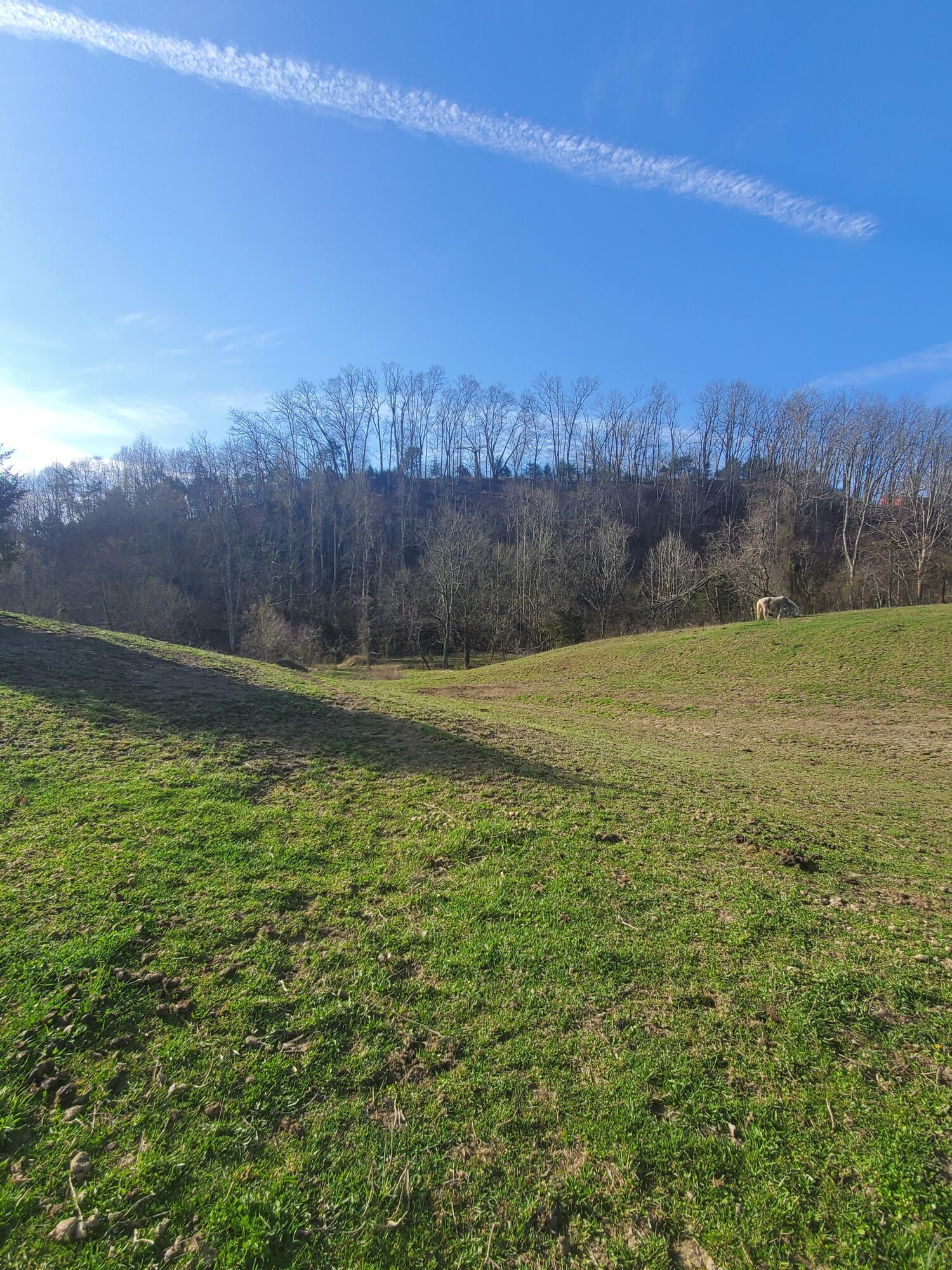 Tbd Taylor Road Fall Branch, TN 37656 - Photo 1 of 39 More pics coming soon!