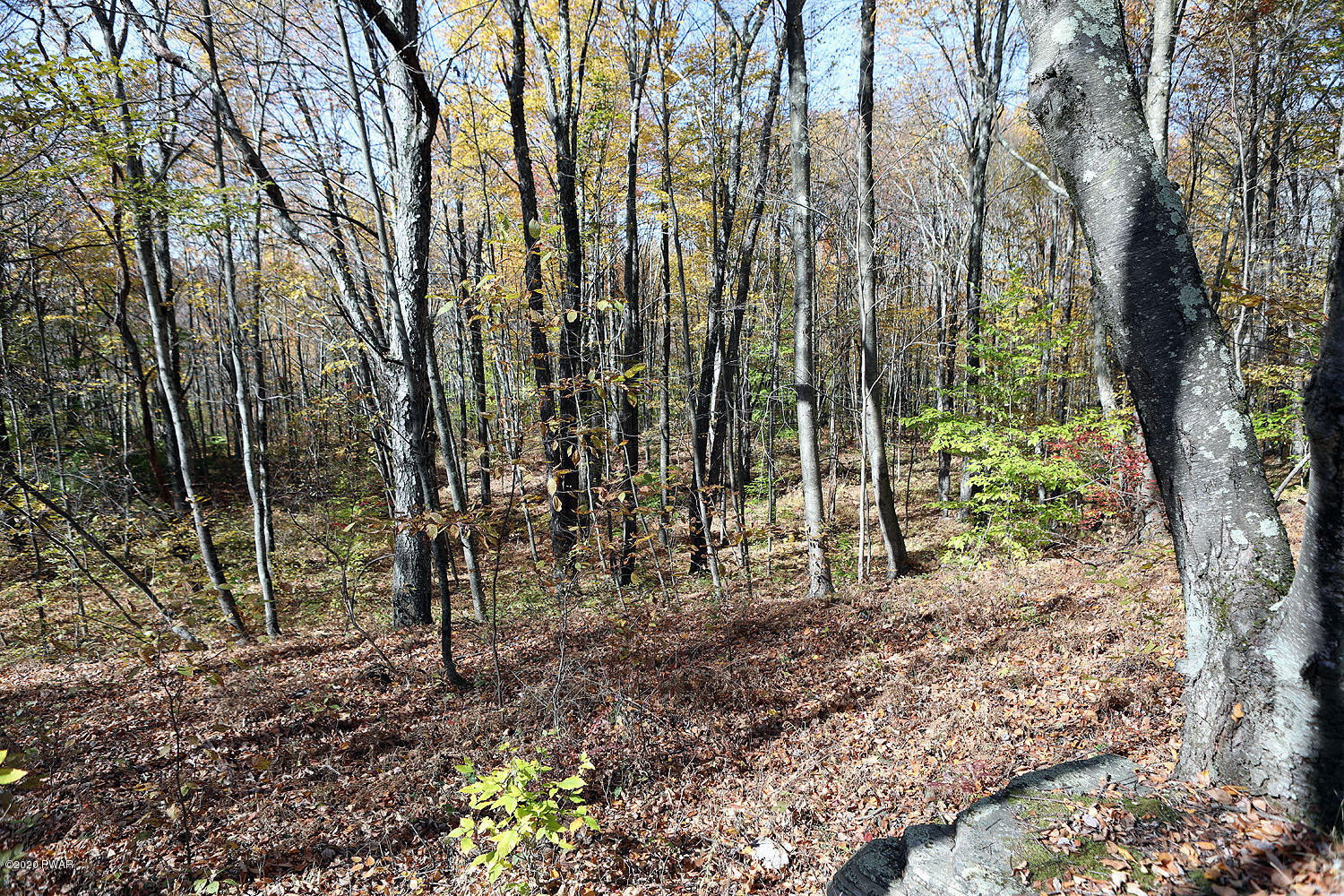 0 Bush Road Equinunk, PA 18417 - Photo 28 of 48 314A3201