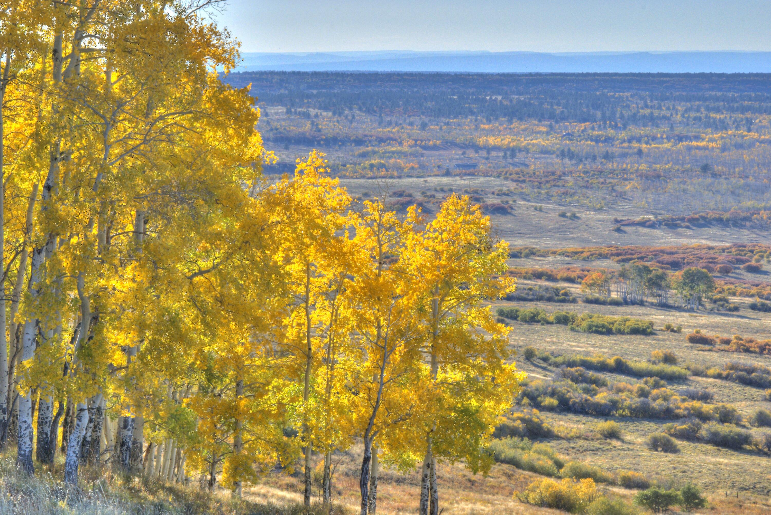 Tbd Tbd Hull Ridge Road Montrose, CO 81403 - Photo 4 of 14 a view of ocean