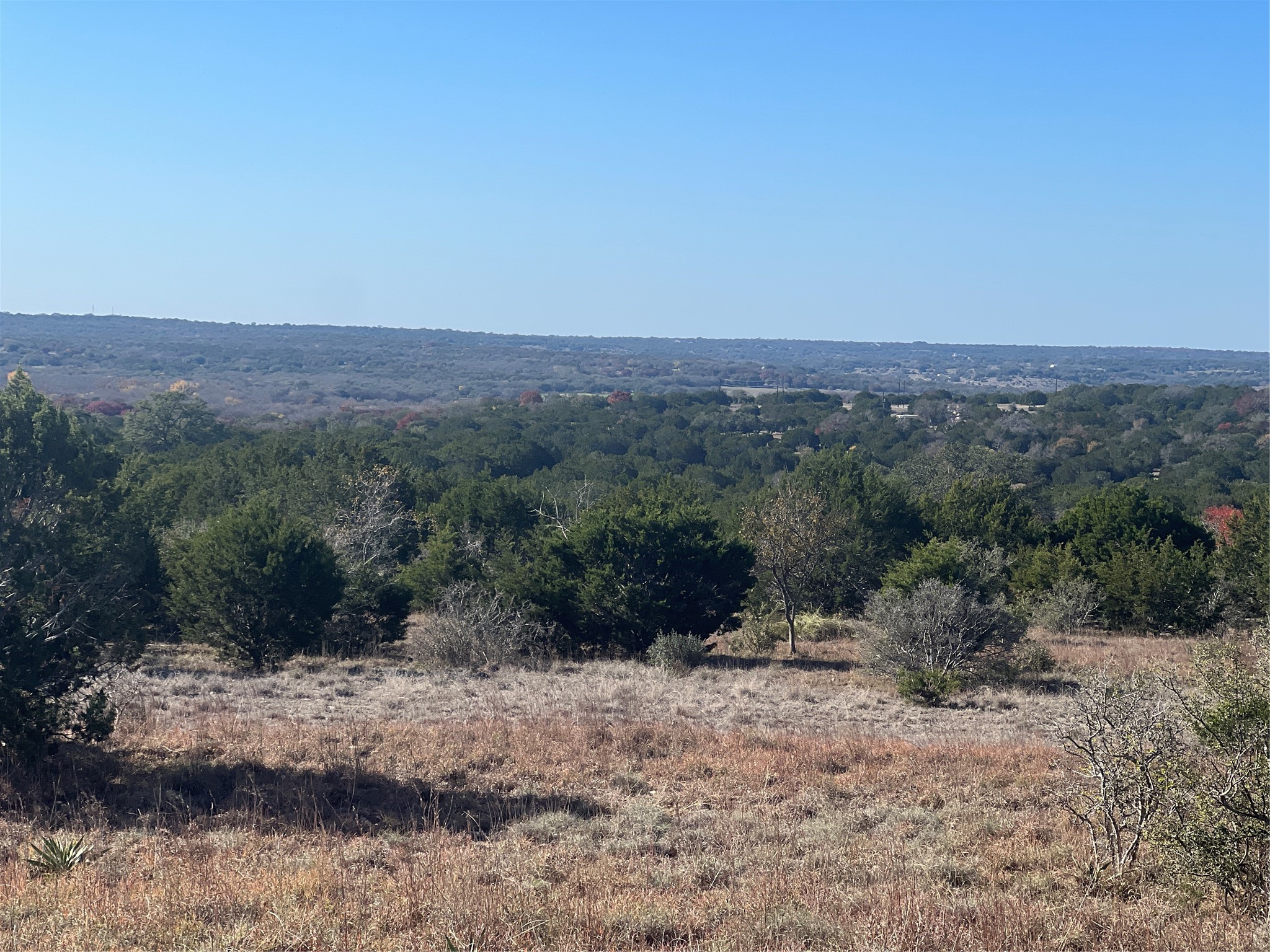 Lot 138 High Point Drive Kempner, TX 76539 - Photo 3 of 17 a view of a dry yard with trees