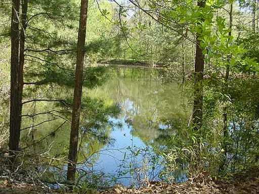 32350 Lower Rome Road Springfield, LA 70462 - Photo 3 of 8