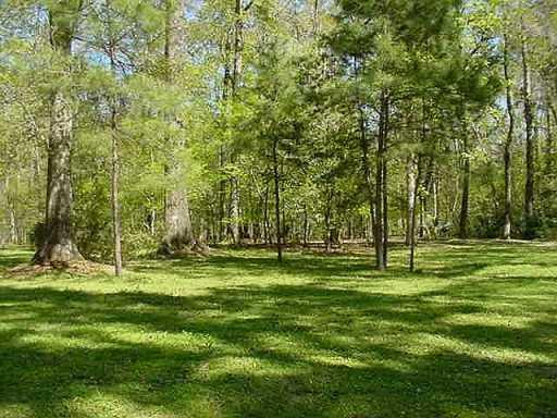 32350 Lower Rome Road Springfield, LA 70462 - Photo 8 of 8