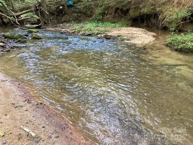 a view of a yard with plants and trees