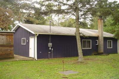 10673 Castle Road Fenwick, MI 48834 - Photo 1 of 9 Primary Photo