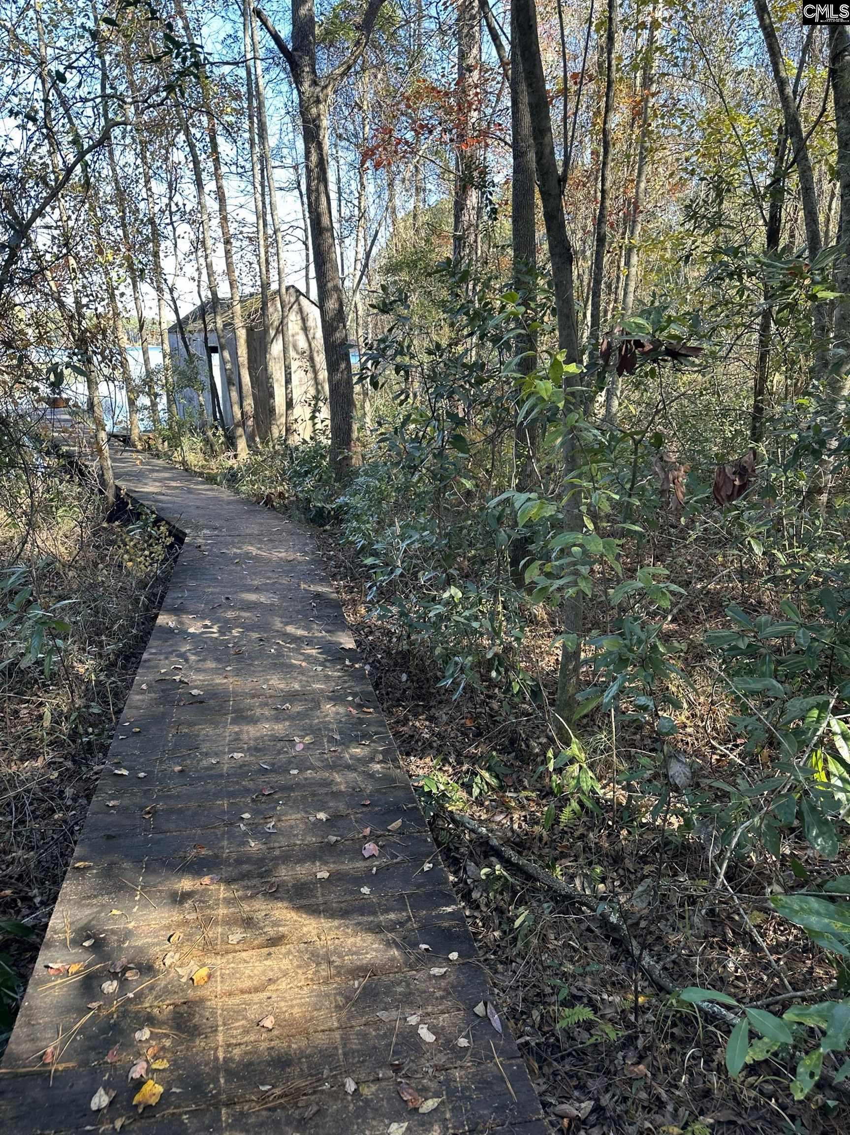 Lot 39 Edisto Lake Road Wagener, SC 29164 - Photo 7 of 9
