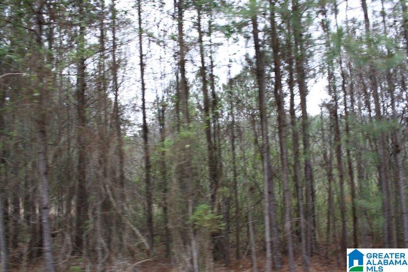 Old Choccolocco Road, Unit 97 Weaver, AL 36277 - Photo 11 of 27
