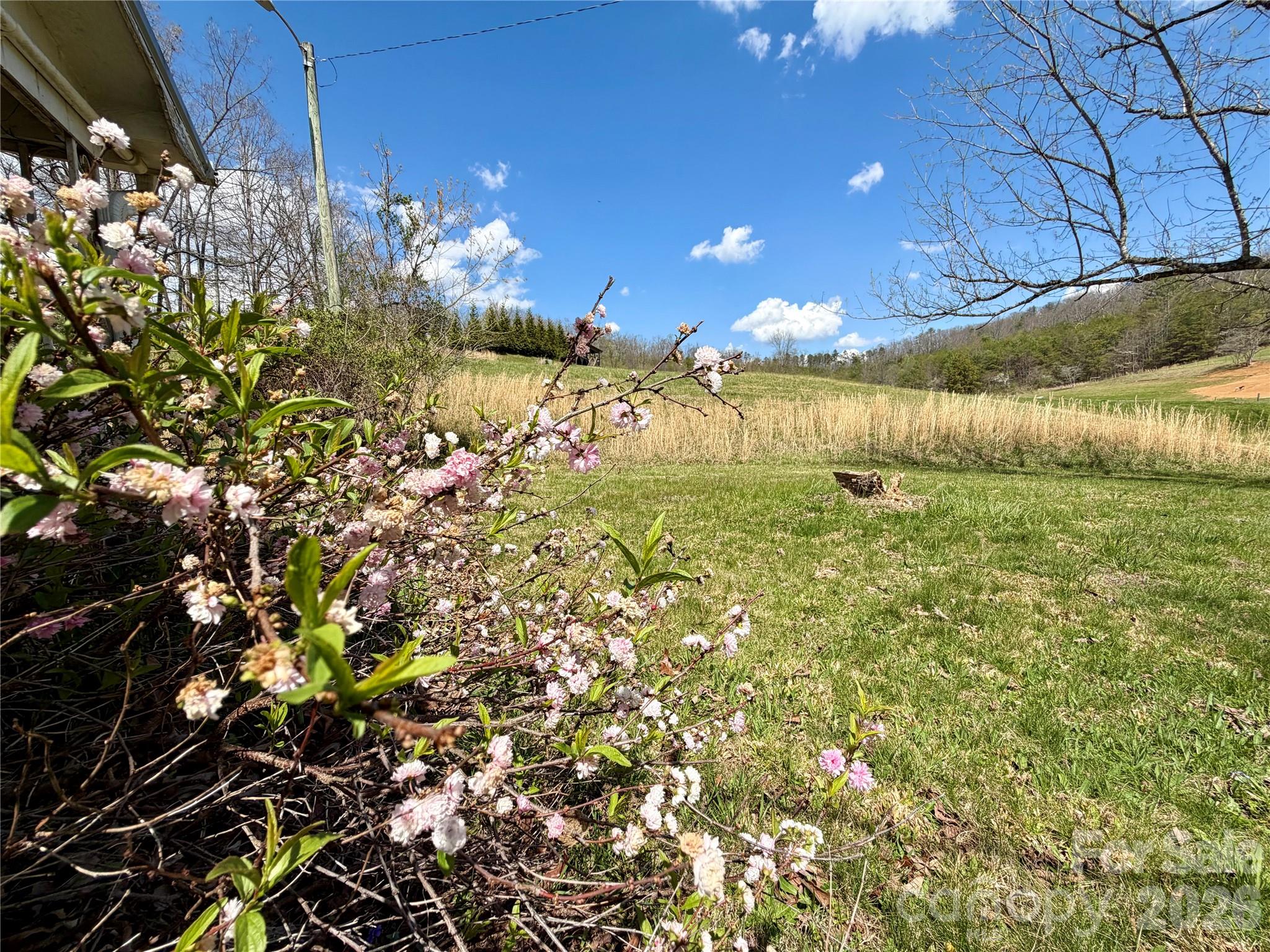 637 Fletcher Martin Road Alexander, NC 28701 - Photo 3 of 10