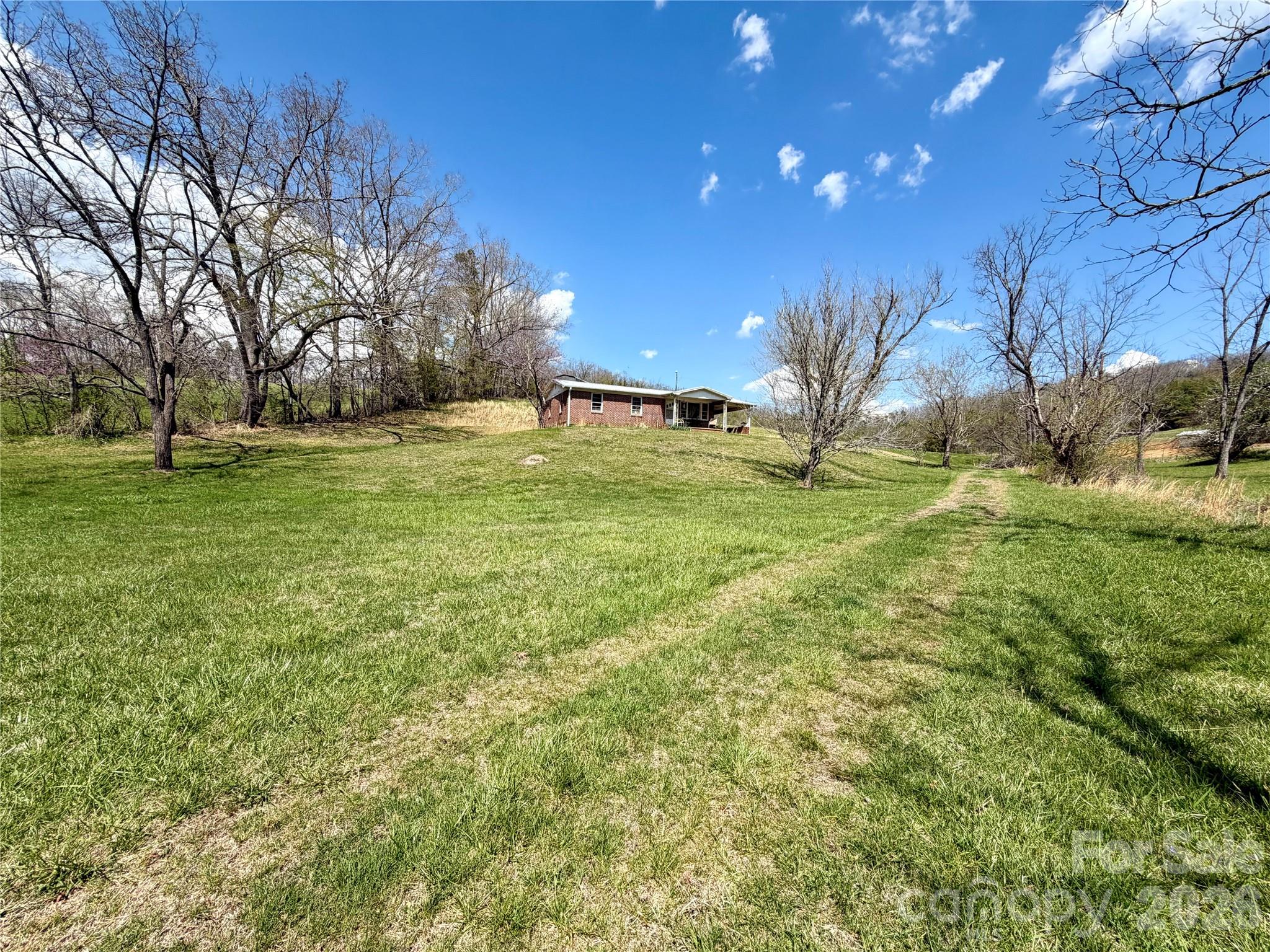 637 Fletcher Martin Road Alexander, NC 28701 - Photo 5 of 10