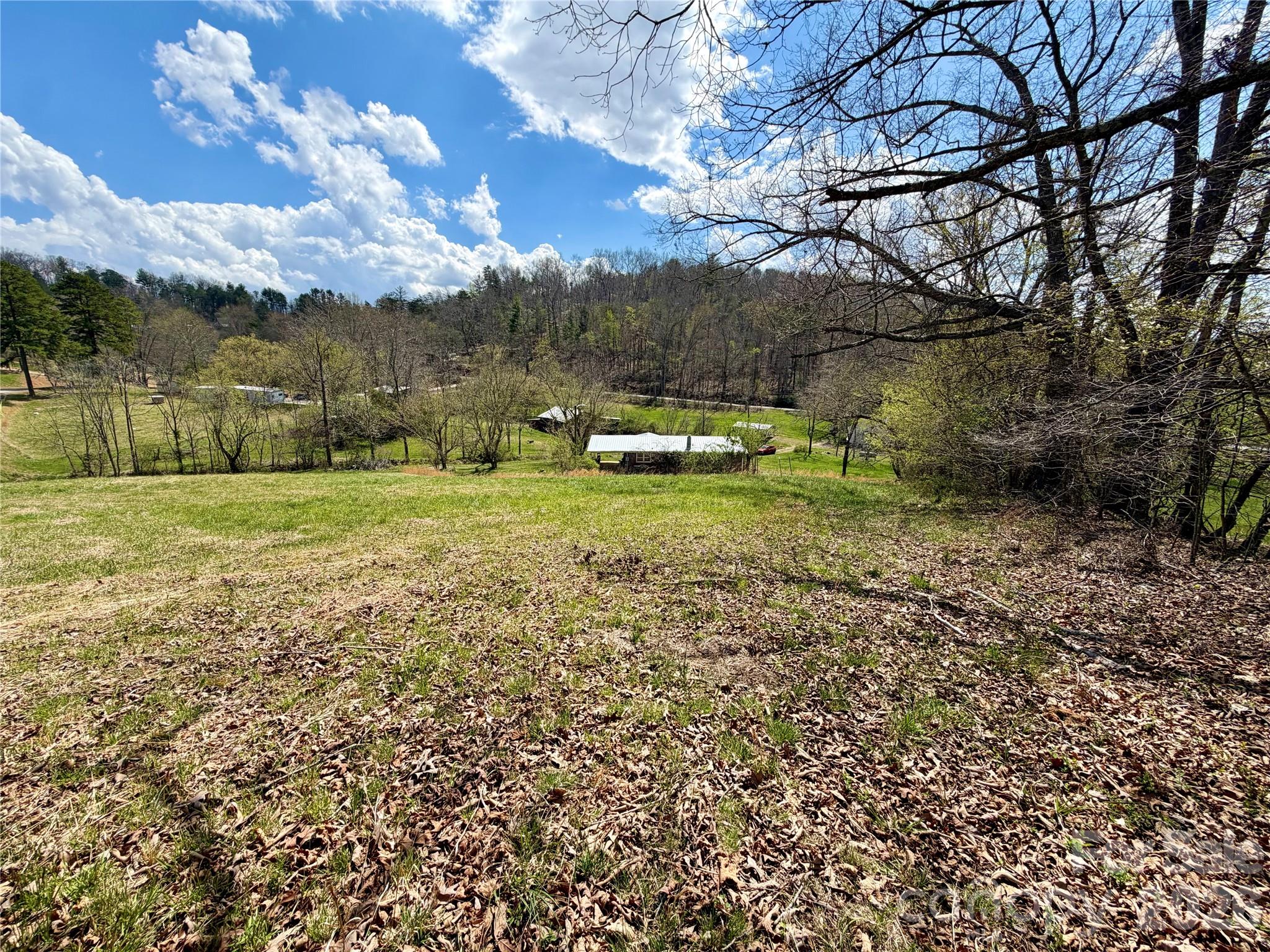 637 Fletcher Martin Road Alexander, NC 28701 - Photo 6 of 10