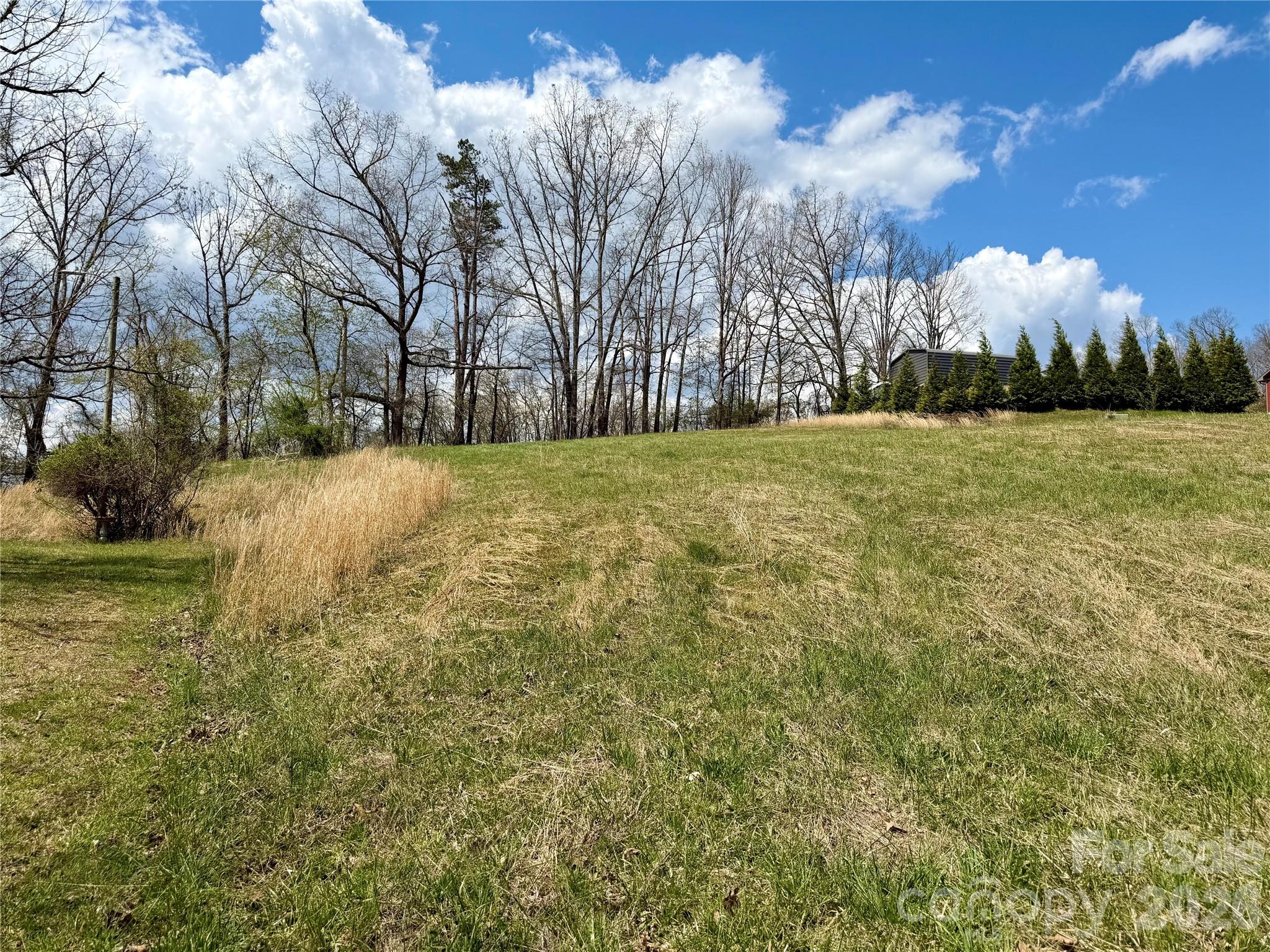 637 Fletcher Martin Road Alexander, NC 28701 - Photo 9 of 10