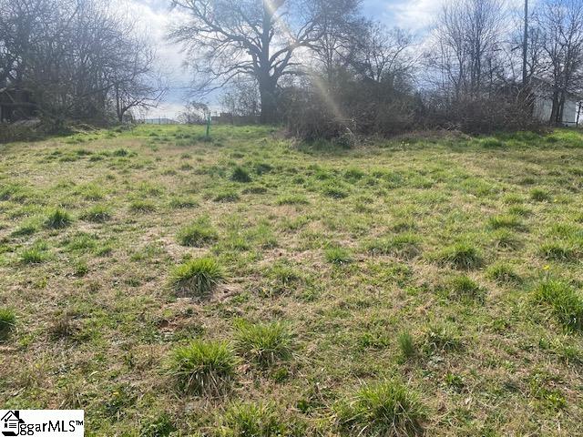 207 Summeral Street Clinton, SC 29325 - Photo 12 of 20