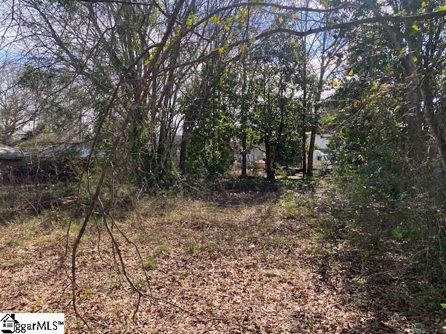 207 Summeral Street Clinton, SC 29325 - Photo 17 of 20