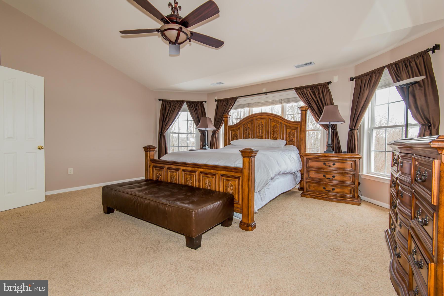 8225 Michaels Ridge Ellicott City, MD 21043 - Photo 20 of 30 Bedroom (Master)