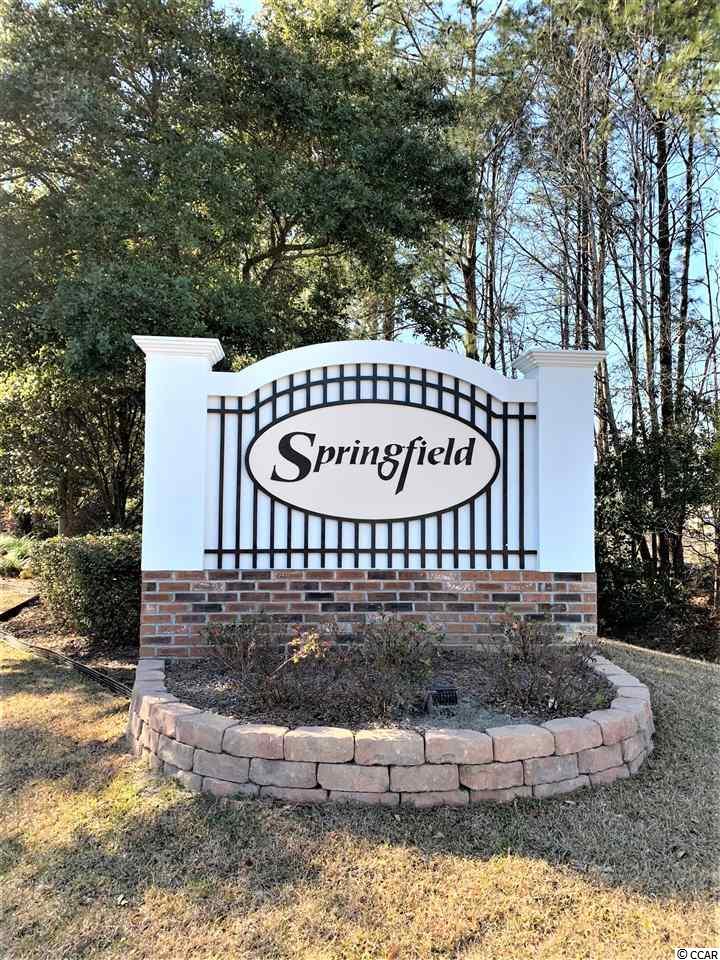 1150 Lampwick Lane Murrells Inlet, SC 29576 - Photo 38 of 39