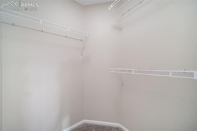9356 Bethpage Road Peyton, CO 80831 - Photo 24 of 40 Walk in closet featuring carpet floors