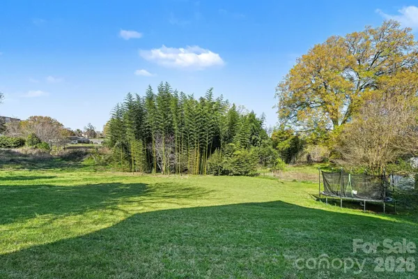 a view of a grassy field with trees in the background