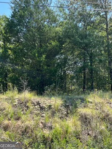 a view of swimming pool from a yard