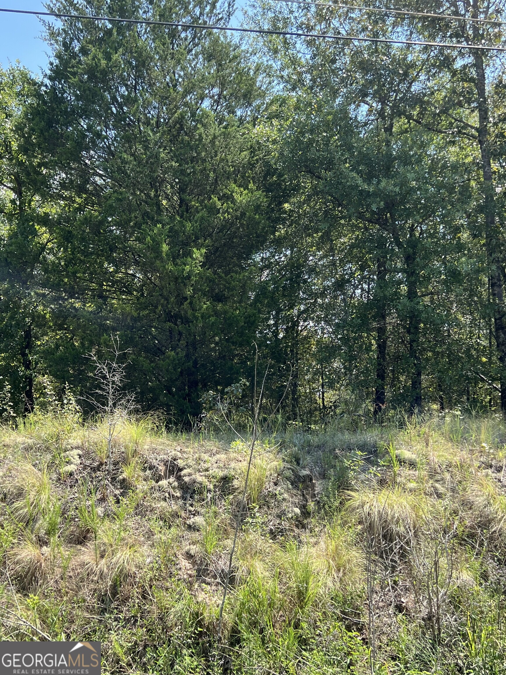0 Richardson Mill Road Fort Valley, GA 31030 - Photo 2 of 8 a view of swimming pool from a yard