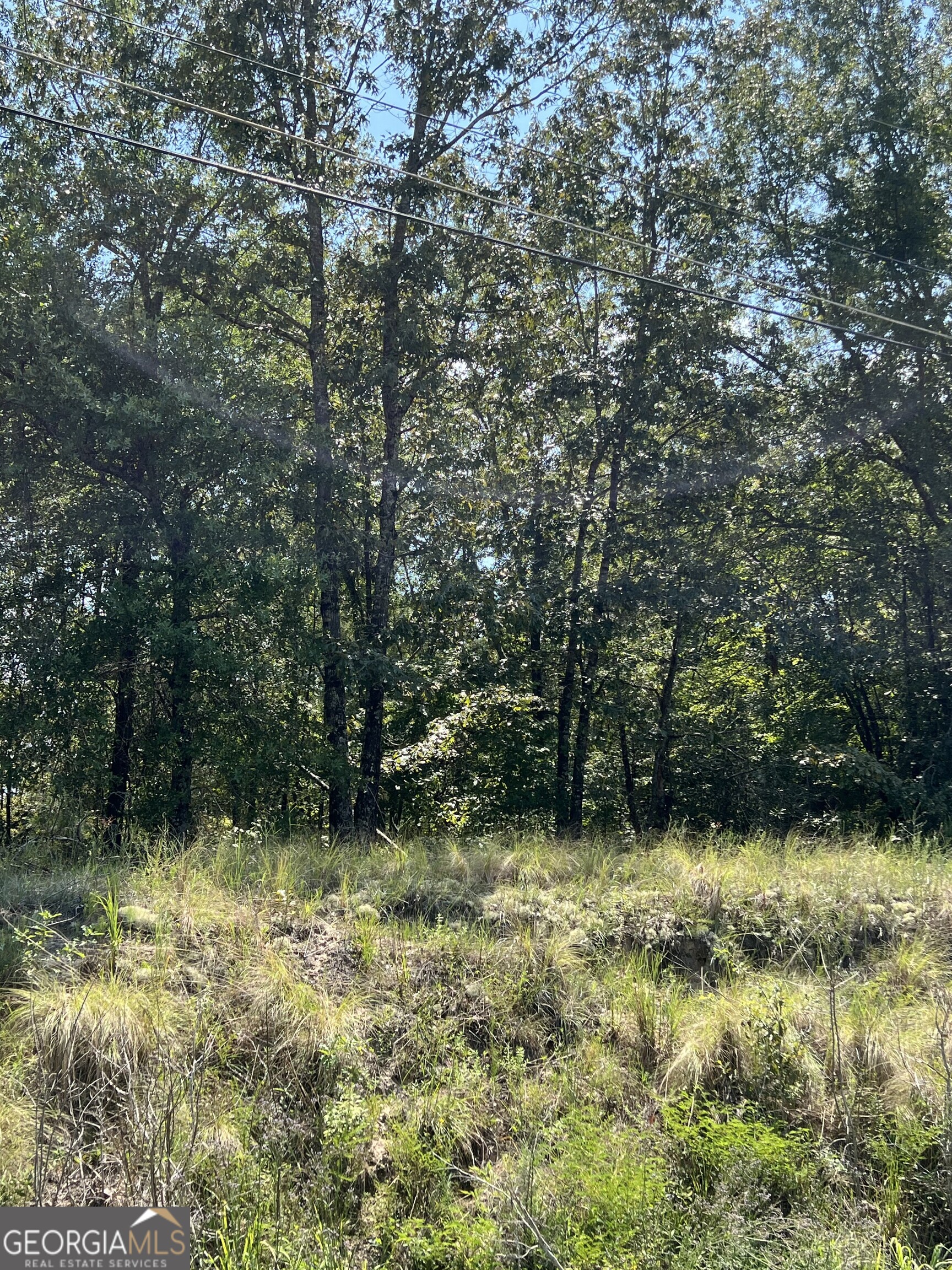 0 Richardson Mill Road Fort Valley, GA 31030 - Photo 3 of 8 a view of outdoor space with a lake view