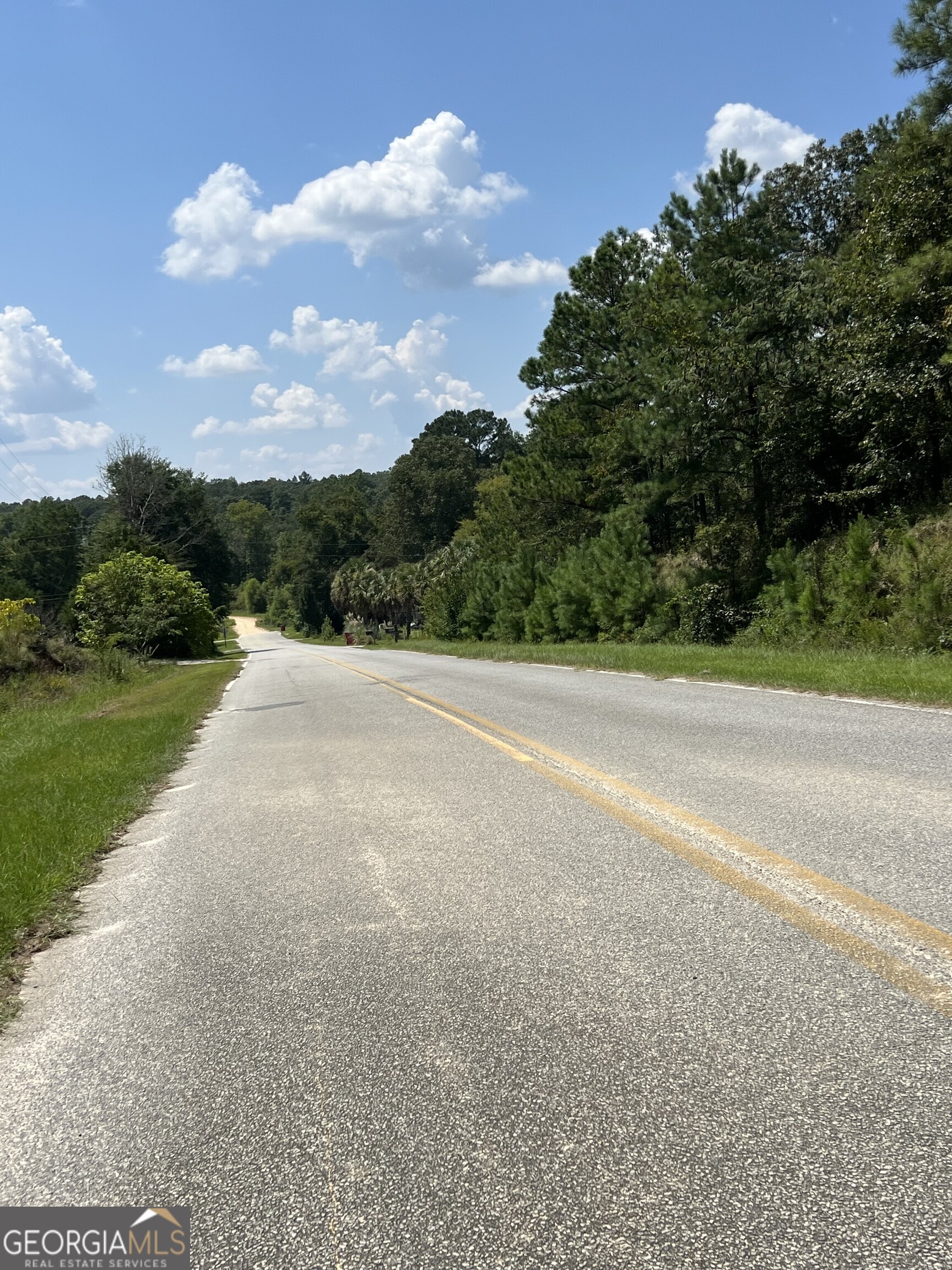 0 Richardson Mill Road Fort Valley, GA 31030 - Photo 4 of 8 a view of a road with a yard
