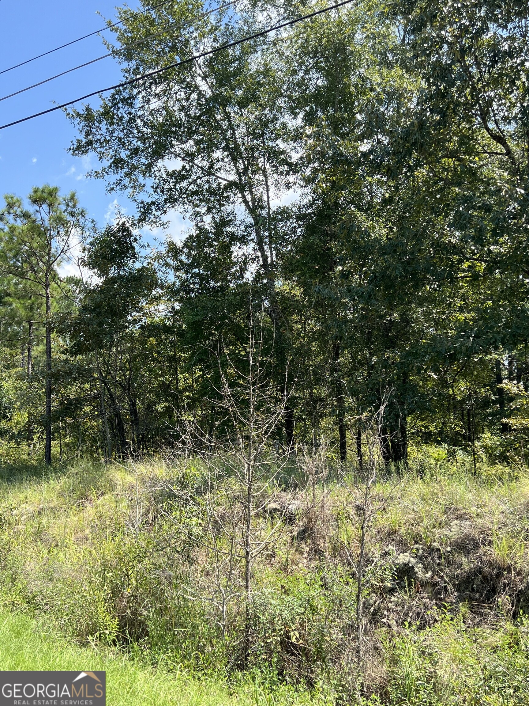 0 Richardson Mill Road Fort Valley, GA 31030 - Photo 5 of 8 a view of outdoor space and green space