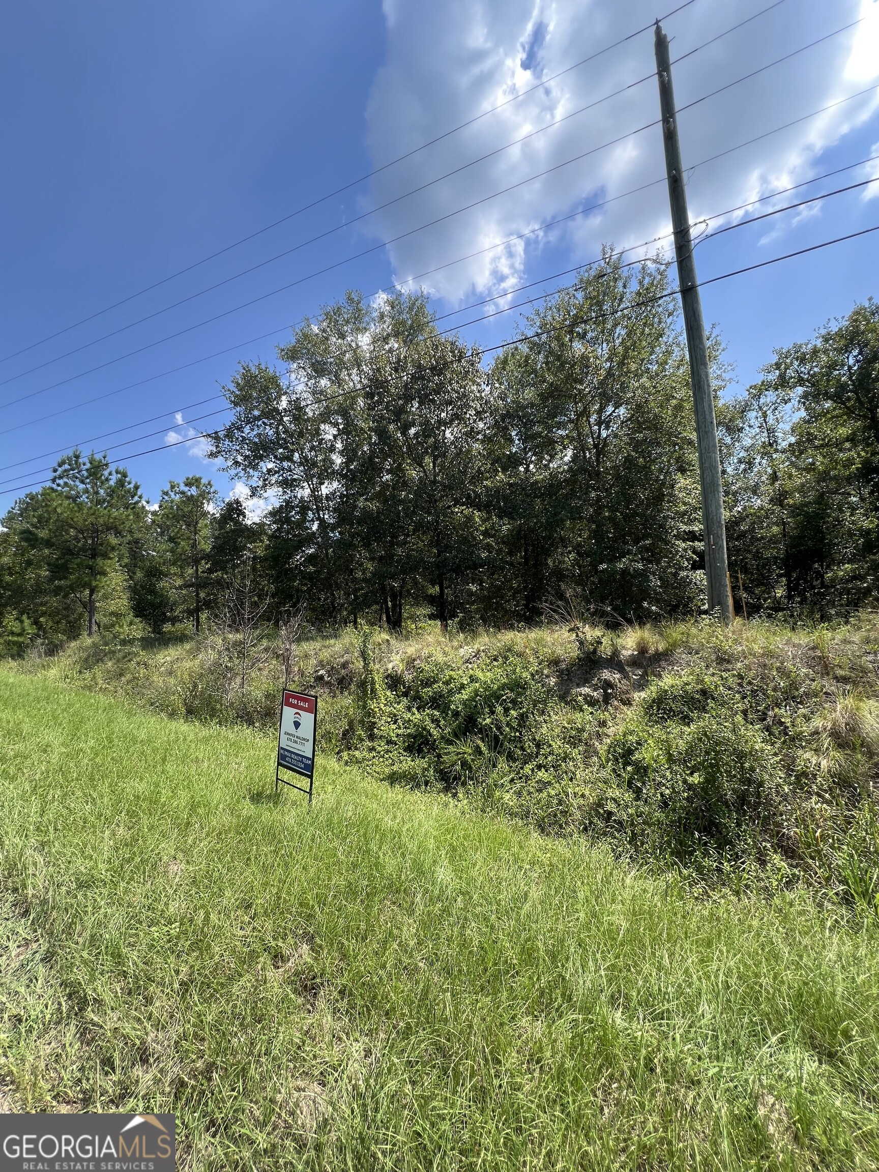 0 Richardson Mill Road Fort Valley, GA 31030 - Photo 6 of 8 a backyard of a house with lots of green space