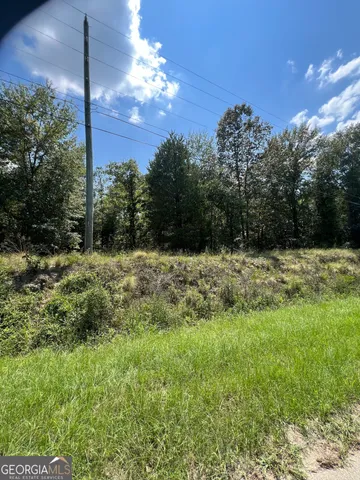 a view of a yard with an tree