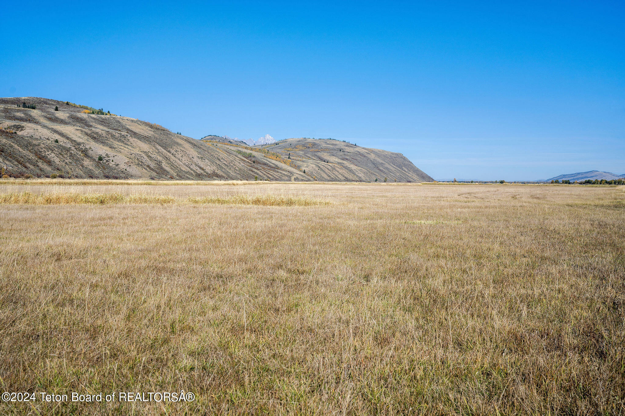 955 Red Tail Butte Road Jackson, WY 83001 - Photo 5 of 18 Ground Level Teton View