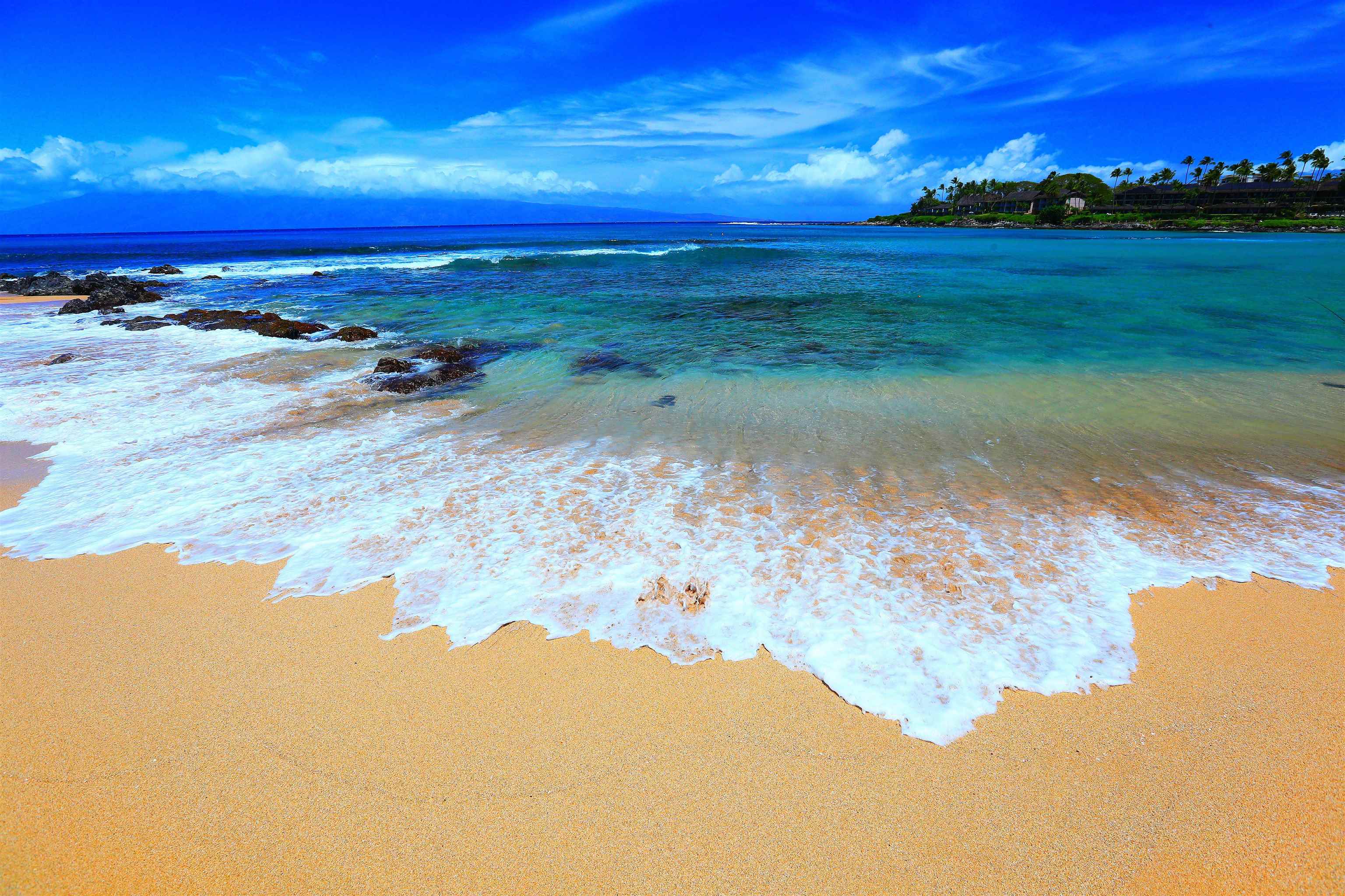 91 B Hui Rd F Lahaina, HI 96761 - Photo 1 of 50 Gallery Image 1