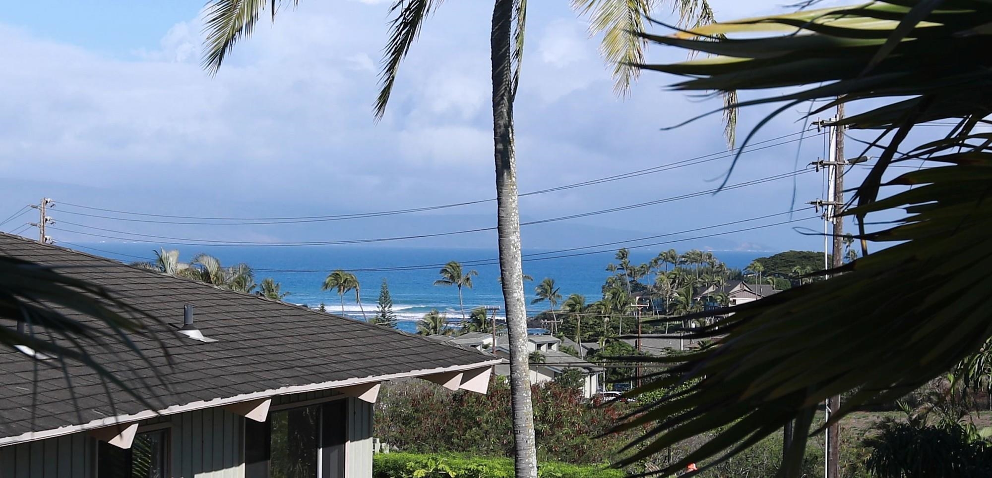 91 B Hui Rd F Lahaina, HI 96761 - Photo 11 of 50 Gallery Image 11