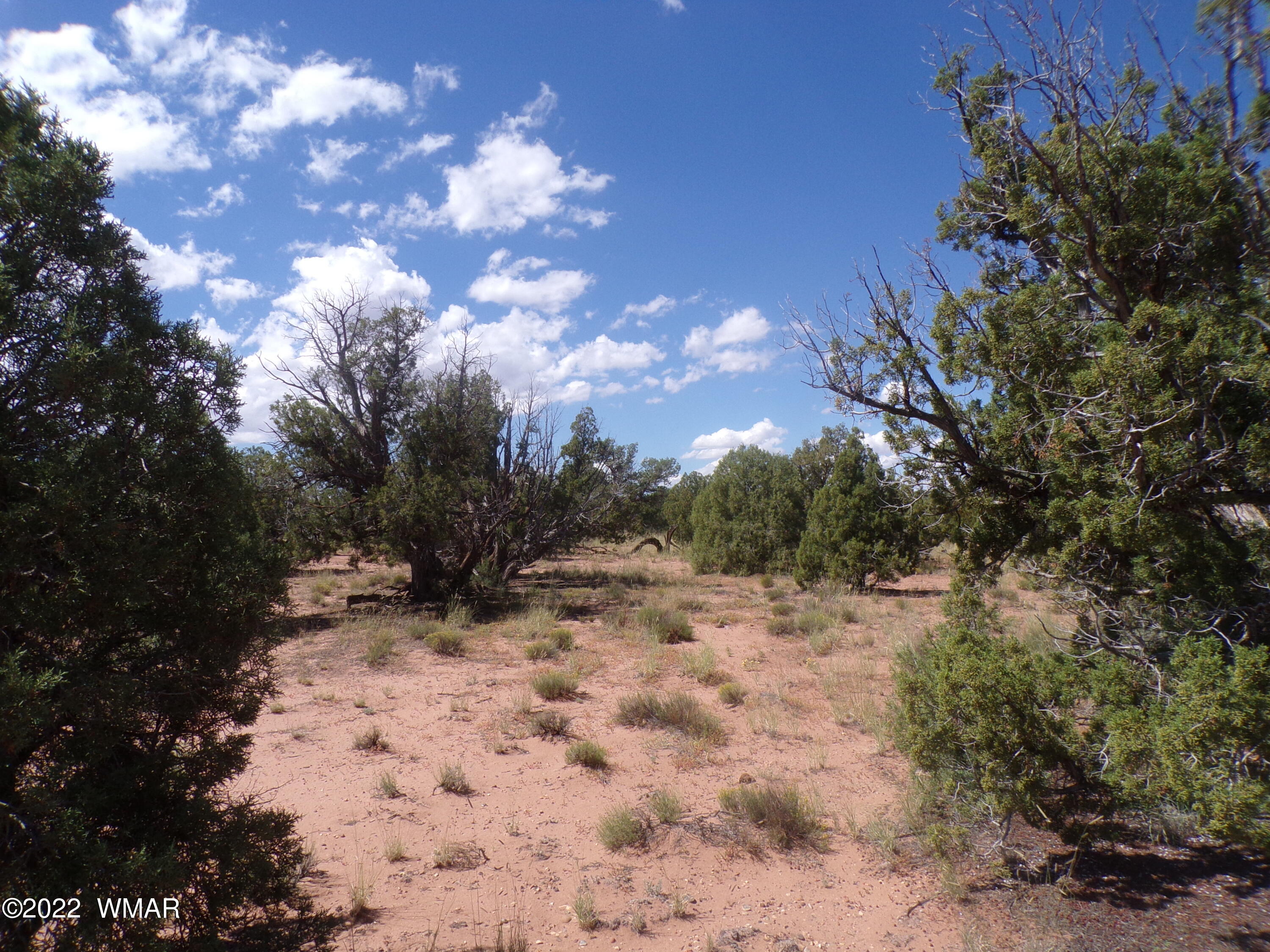 Tbd Tbd Old Hunt Road Concho, AZ 85924 - Photo 5 of 5