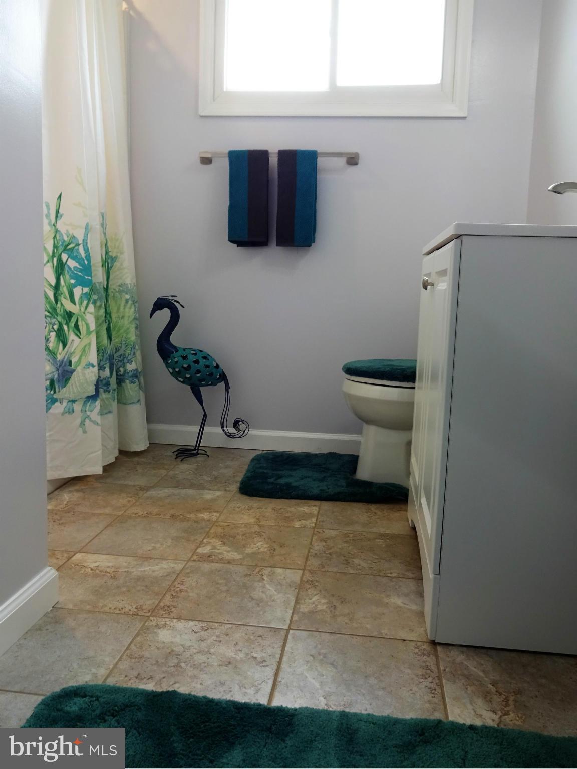 3004 Baybriar Road Baltimore, MD 21222 - Photo 13 of 24 Updated Main Full Bath