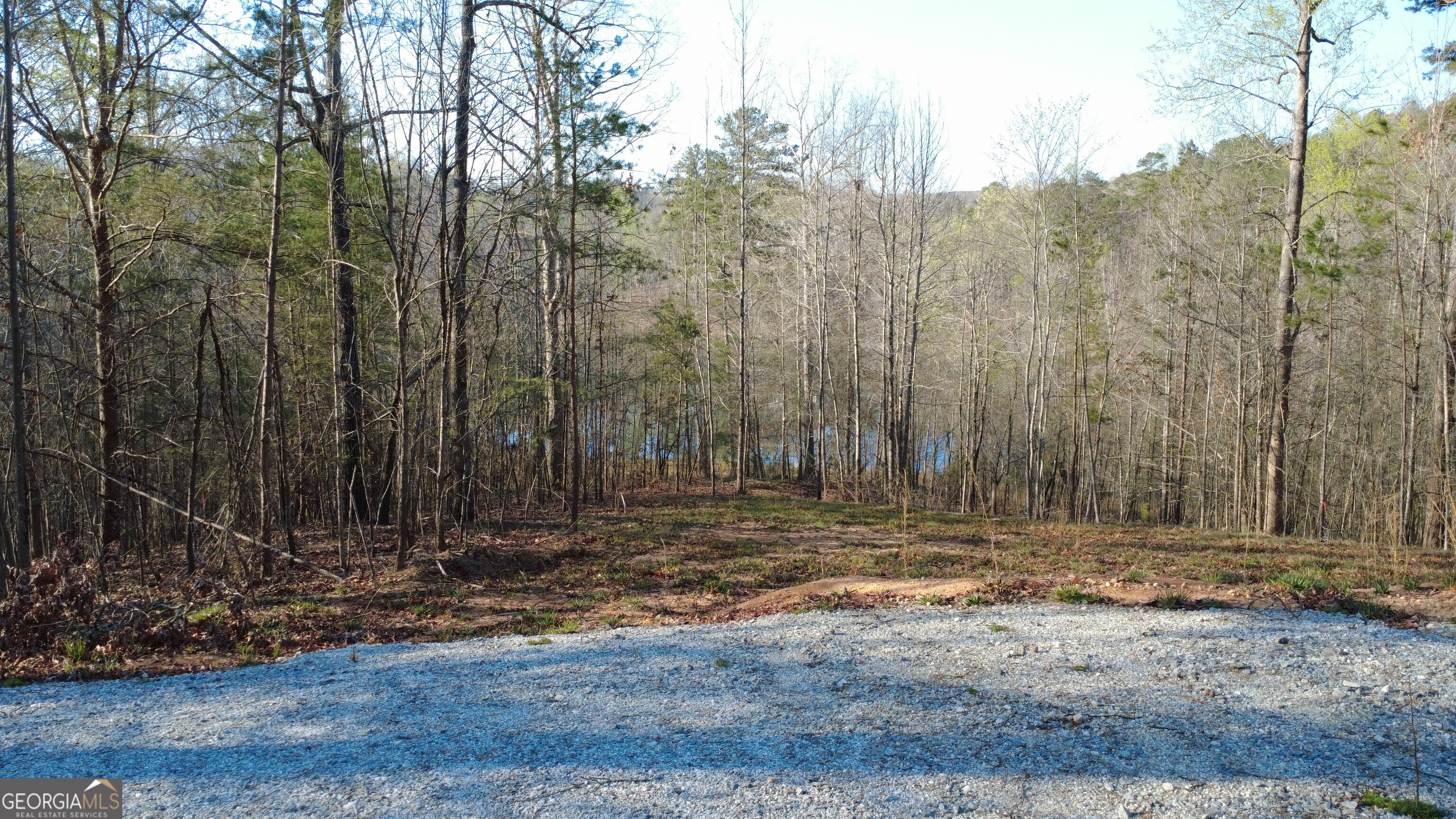 0 Purvis Road Baldwin, GA 30511 - Photo 1 of 14 a view of outdoor space with trees