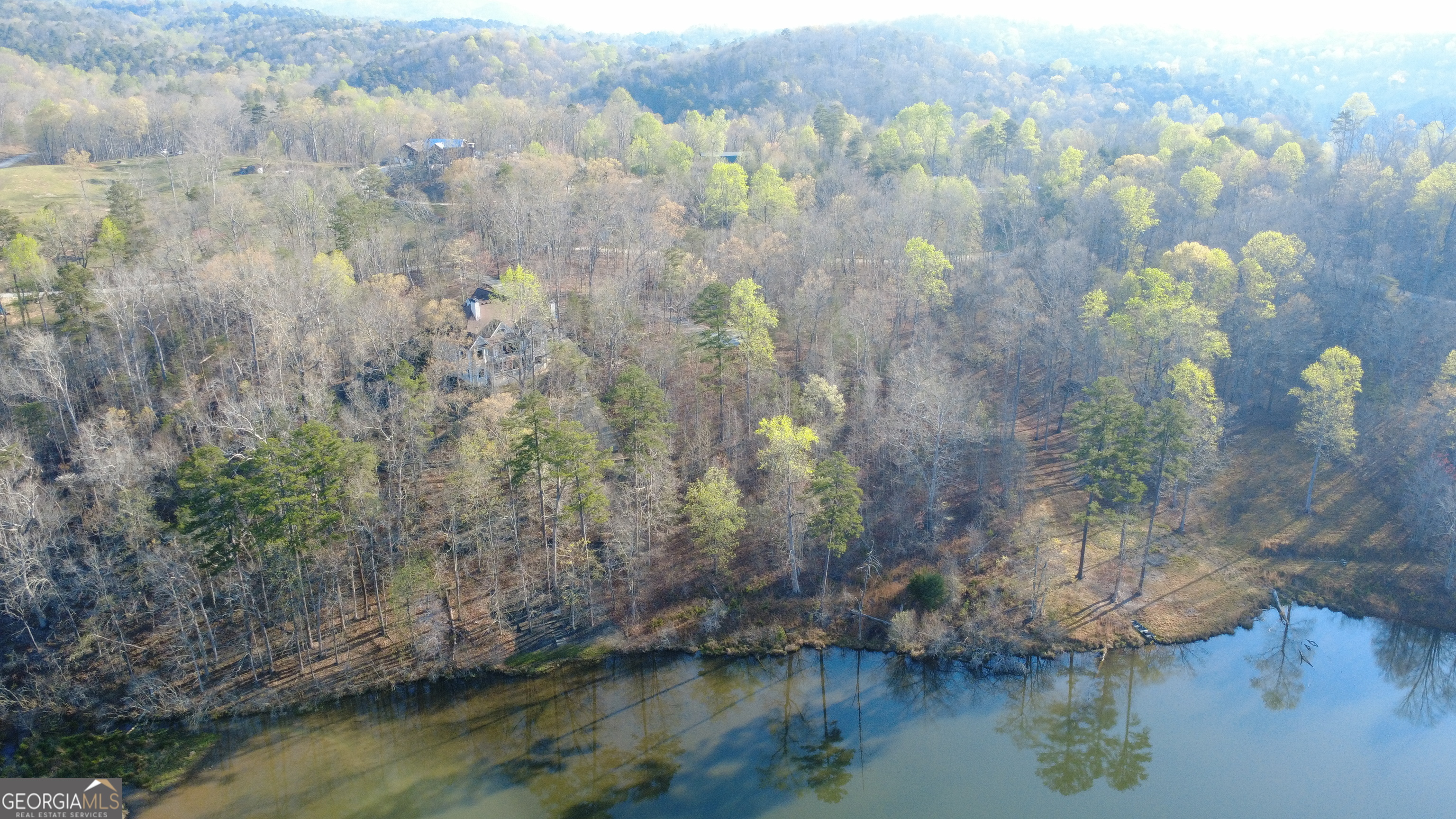 0 Purvis Road Baldwin, GA 30511 - Photo 12 of 14 a view of a lake in middle of forest